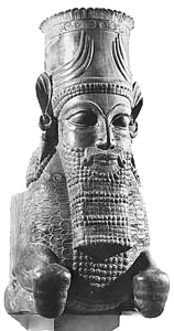 image1.jpg